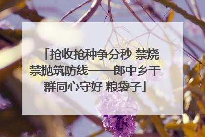 抢收抢种争分秒 禁烧禁抛筑防线——郎中乡干群同心守好 粮袋子