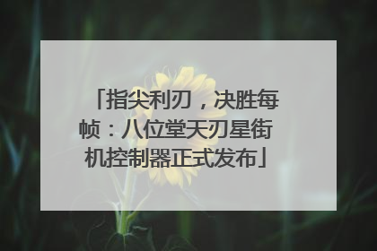 指尖利刃，决胜每帧：八位堂天刃星街机控制器正式发布