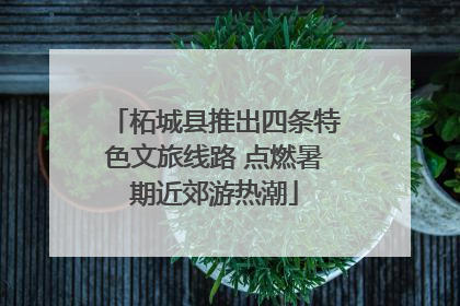 柘城县推出四条特色文旅线路 点燃暑期近郊游热潮
