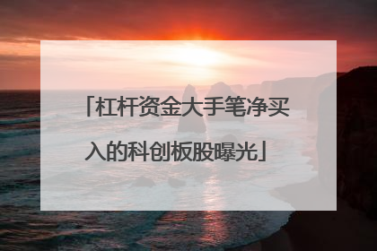 杠杆资金大手笔净买入的科创板股曝光