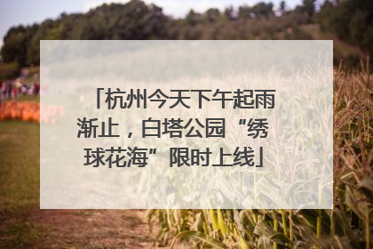 杭州今天下午起雨渐止，白塔公园“绣球花海”限时上线