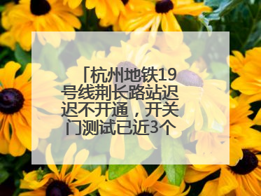 杭州地铁19号线荆长路站迟迟不开通，开关门测试已近3个月？回应来了