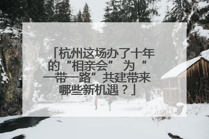 杭州这场办了十年的“相亲会” 为“一带一路”共建带来哪些新机遇？