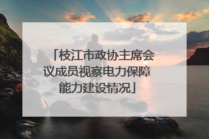 枝江市政协主席会议成员视察电力保障能力建设情况
