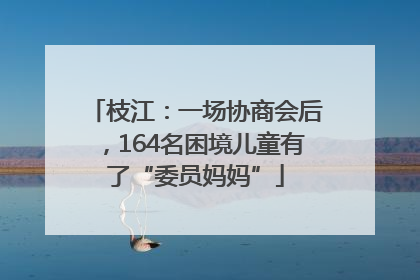 枝江：一场协商会后，164名困境儿童有了“委员妈妈”