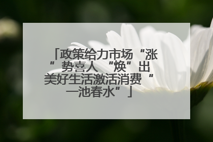 政策给力市场“涨”势喜人 “焕”出美好生活激活消费“一池春水”