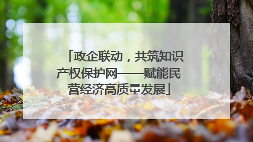 政企联动，共筑知识产权保护网——赋能民营经济高质量发展
