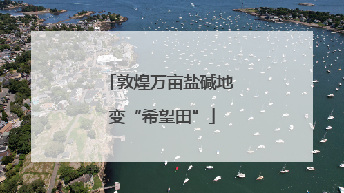 敦煌万亩盐碱地变“希望田”