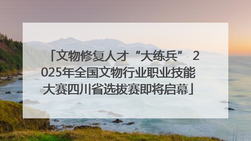 文物修复人才“大练兵” 2025年全国文物行业职业技能大赛四川省选拔赛即将启幕
