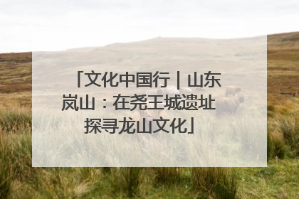 文化中国行｜山东岚山：在尧王城遗址探寻龙山文化
