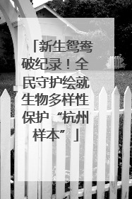 新生鸳鸯破纪录！全民守护绘就生物多样性保护“杭州样本”