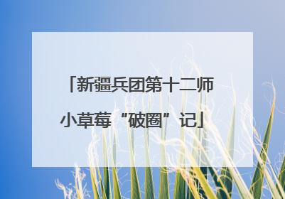 新疆兵团第十二师小草莓“破圈”记