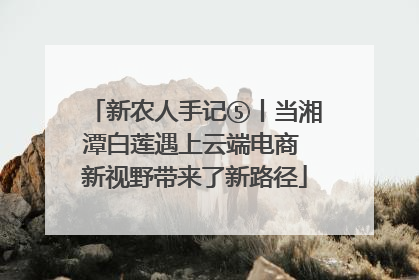新农人手记⑤丨当湘潭白莲遇上云端电商 新视野带来了新路径