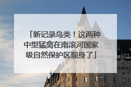 新记录鸟类！这两种中型猛禽在南滚河国家级自然保护区现身了