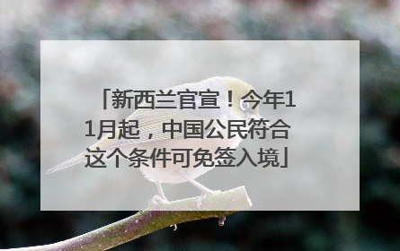 新西兰官宣！今年11月起，中国公民符合这个条件可免签入境