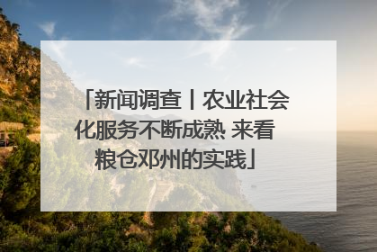 新闻调查丨农业社会化服务不断成熟 来看粮仓邓州的实践