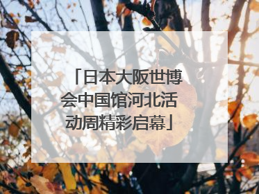 日本大阪世博会中国馆河北活动周精彩启幕
