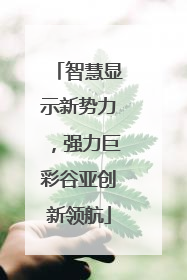 智慧显示新势力，强力巨彩谷亚创新领航