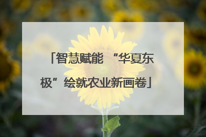 智慧赋能 “华夏东极”绘就农业新画卷