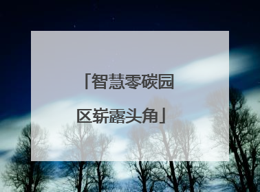 智慧零碳园区崭露头角