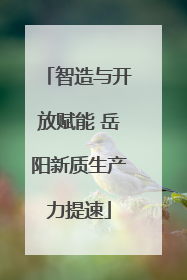 智造与开放赋能 岳阳新质生产力提速
