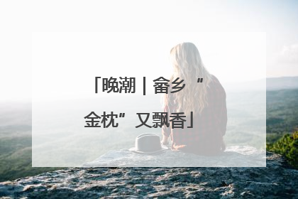 晚潮｜畲乡“金枕”又飘香