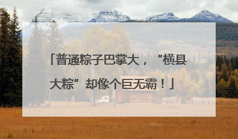 普通粽子巴掌大，“横县大粽”却像个巨无霸！