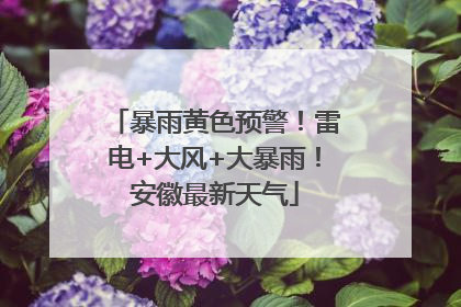 暴雨黄色预警！雷电+大风+大暴雨！安徽最新天气