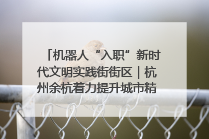 机器人“入职”新时代文明实践街街区｜杭州余杭着力提升城市精细化智能化管理水平