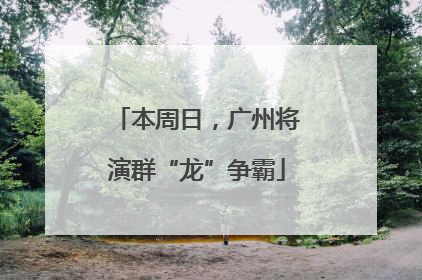 本周日，广州将演群“龙”争霸