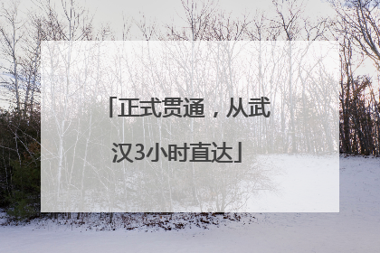正式贯通，从武汉3小时直达