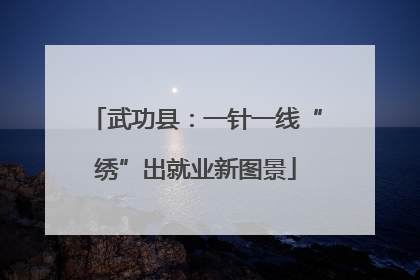武功县：一针一线“绣”出就业新图景