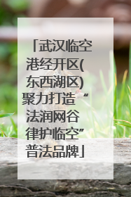 武汉临空港经开区(东西湖区)聚力打造“法润网谷 律护临空”普法品牌