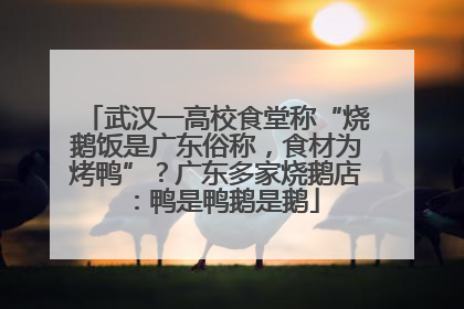 武汉一高校食堂称“烧鹅饭是广东俗称，食材为烤鸭”？广东多家烧鹅店：鸭是鸭鹅是鹅