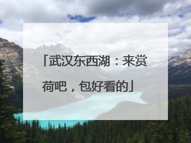 武汉东西湖：来赏荷吧，包好看的