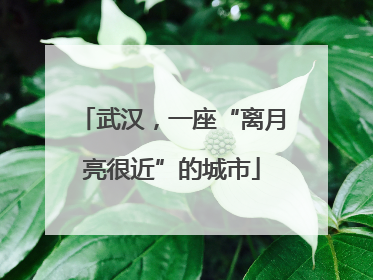 武汉，一座“离月亮很近”的城市