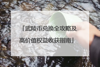 武陵币兑换全攻略及高价值权益收获指南