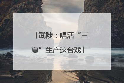 武陟：唱活“三夏”生产这台戏