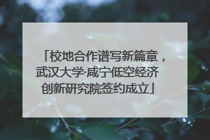 校地合作谱写新篇章，武汉大学·咸宁低空经济创新研究院签约成立