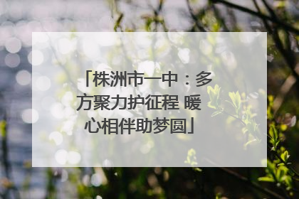 株洲市一中：多方聚力护征程 暖心相伴助梦圆