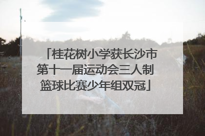 桂花树小学获长沙市第十一届运动会三人制篮球比赛少年组双冠