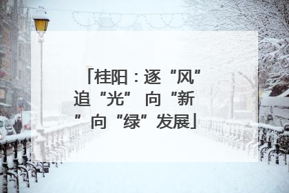 桂阳：逐“风”追“光” 向“新”向“绿”发展