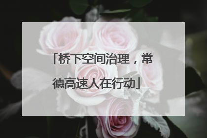 桥下空间治理，常德高速人在行动