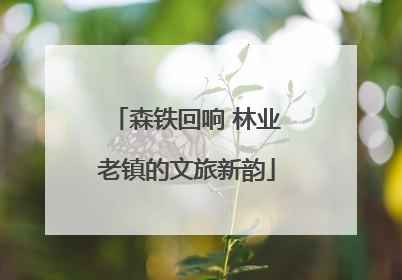 森铁回响 林业老镇的文旅新韵
