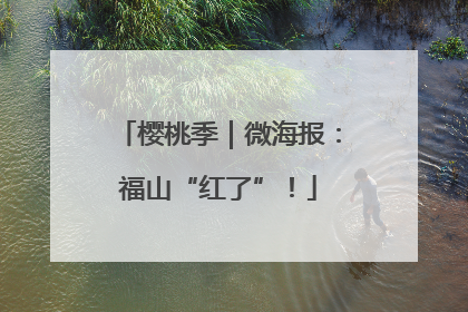 樱桃季｜微海报：福山“红了”！