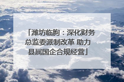 潍坊临朐：深化财务总监委派制改革 助力县属国企合规经营