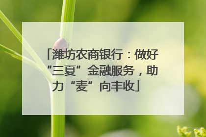 潍坊农商银行：做好“三夏”金融服务，助力“麦”向丰收