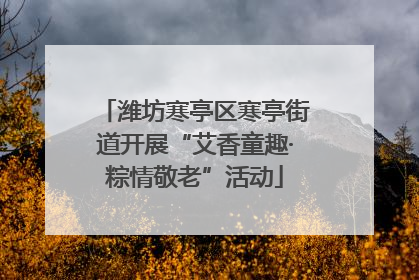 潍坊寒亭区寒亭街道开展“艾香童趣·粽情敬老”活动