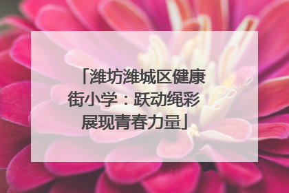 潍坊潍城区健康街小学：跃动绳彩展现青春力量