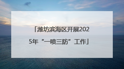 潍坊滨海区开展2025年“一喷三防”工作